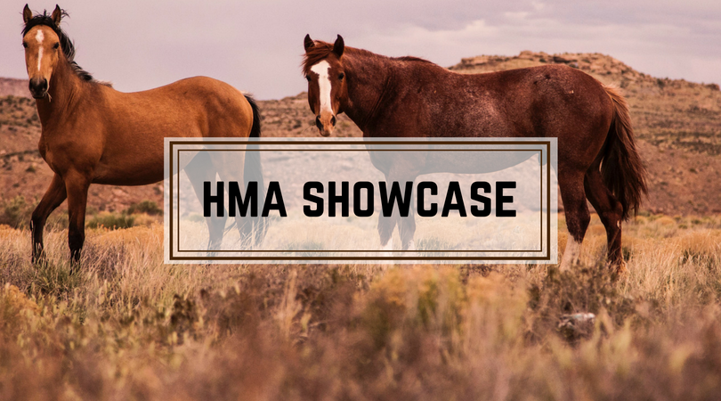 HMA Showcase