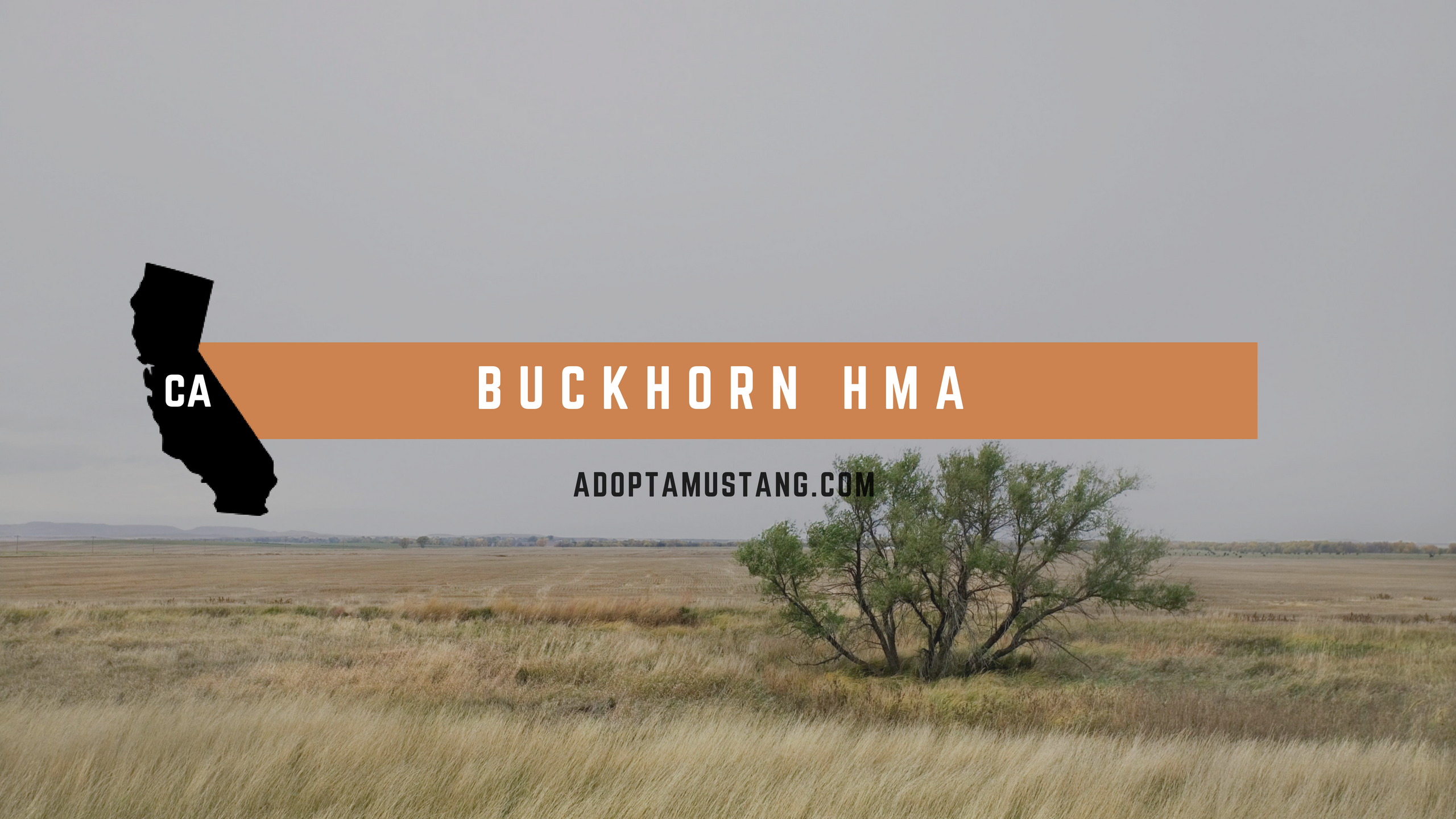 Buckhorn CA HMA