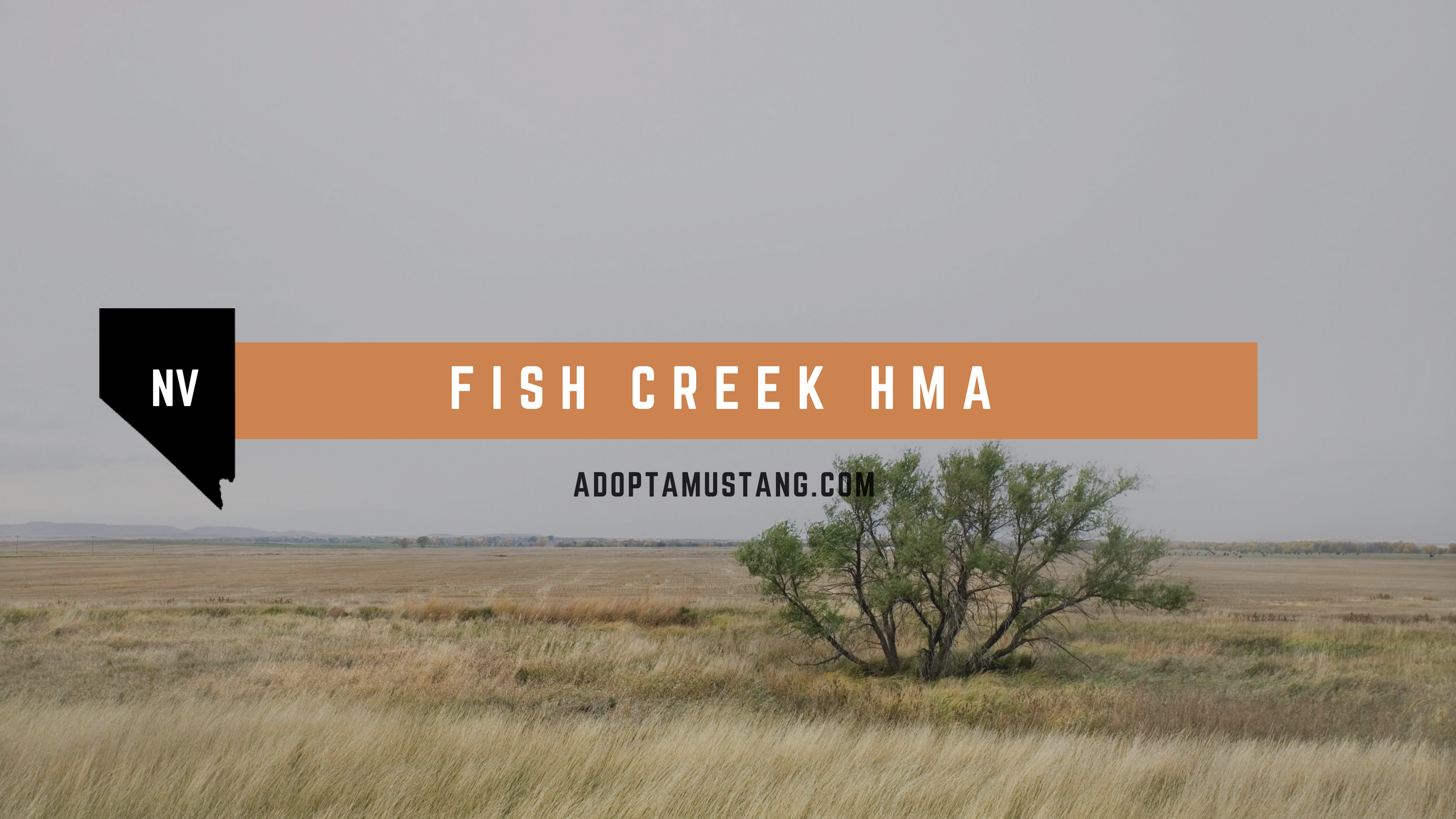 Fish Creek NV HMA