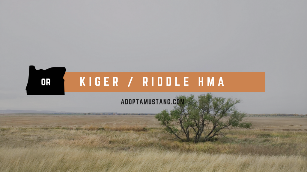 Kiger Riddle HMA