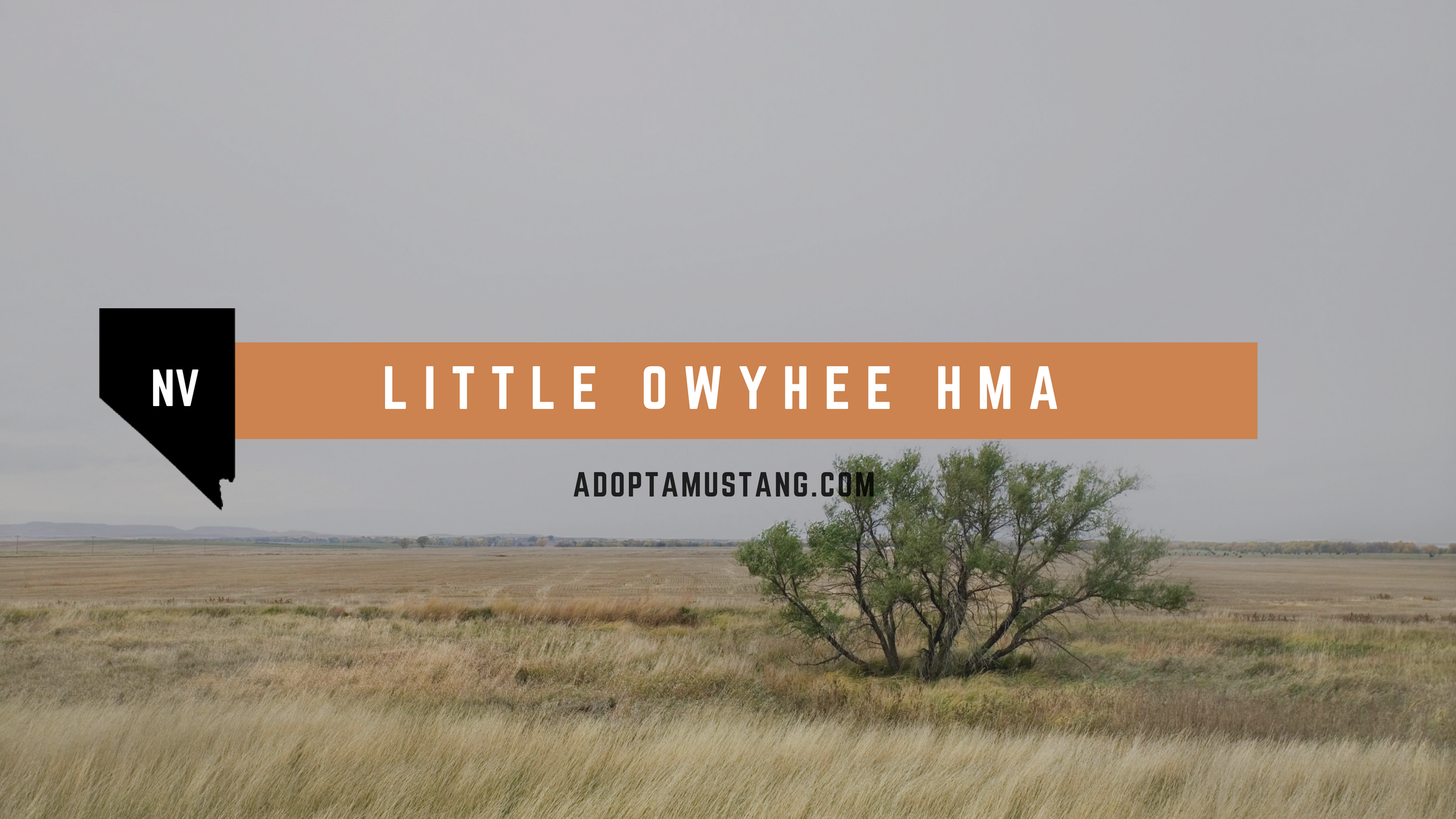 Little owyhee NV HMA