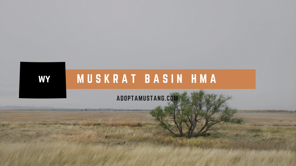 Muskrat Basin HMA