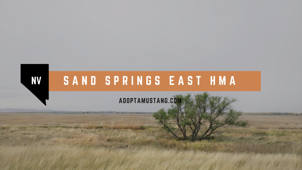 Sand Springs East NV HMA