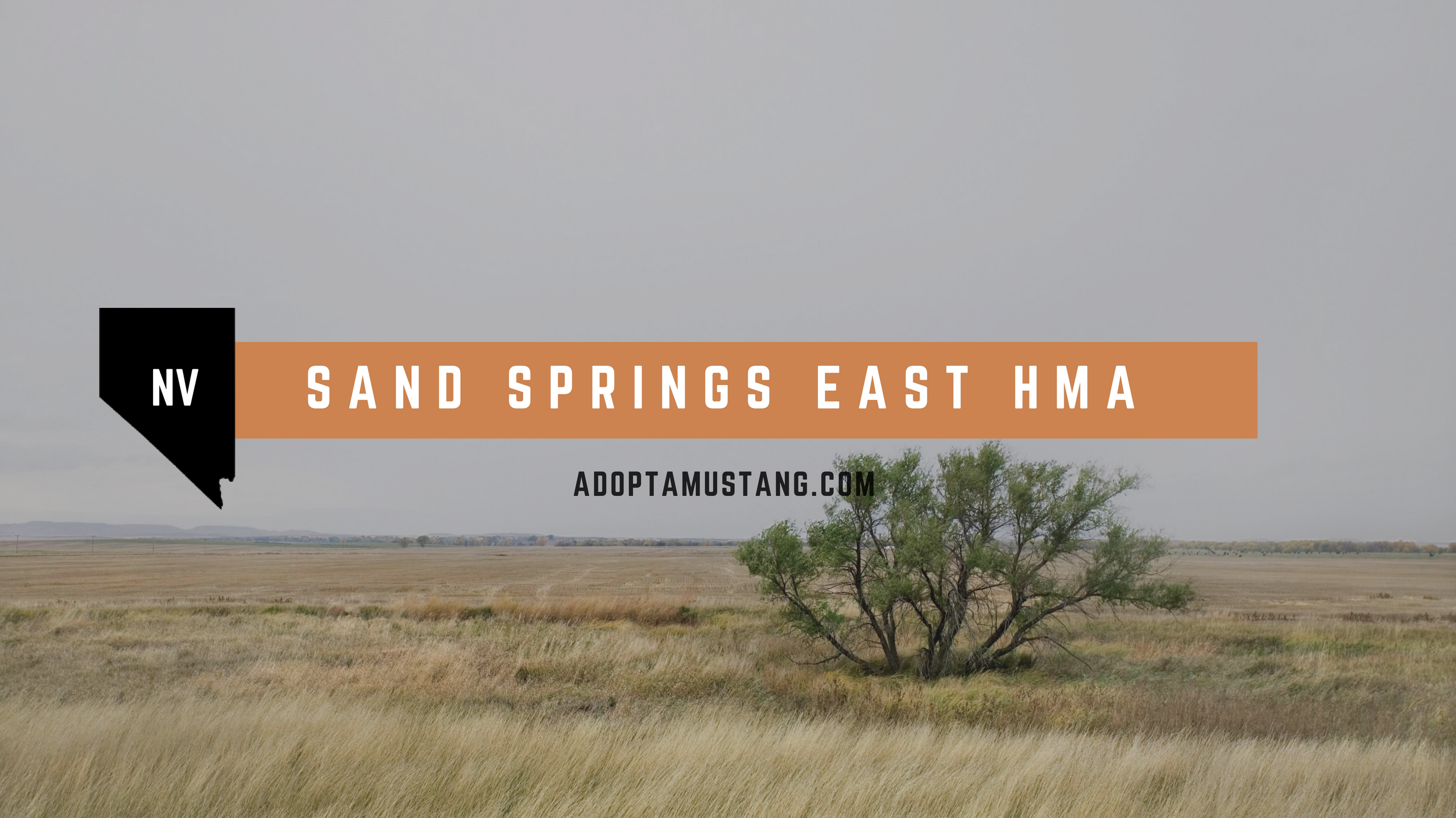 Sand Springs East NV HMA