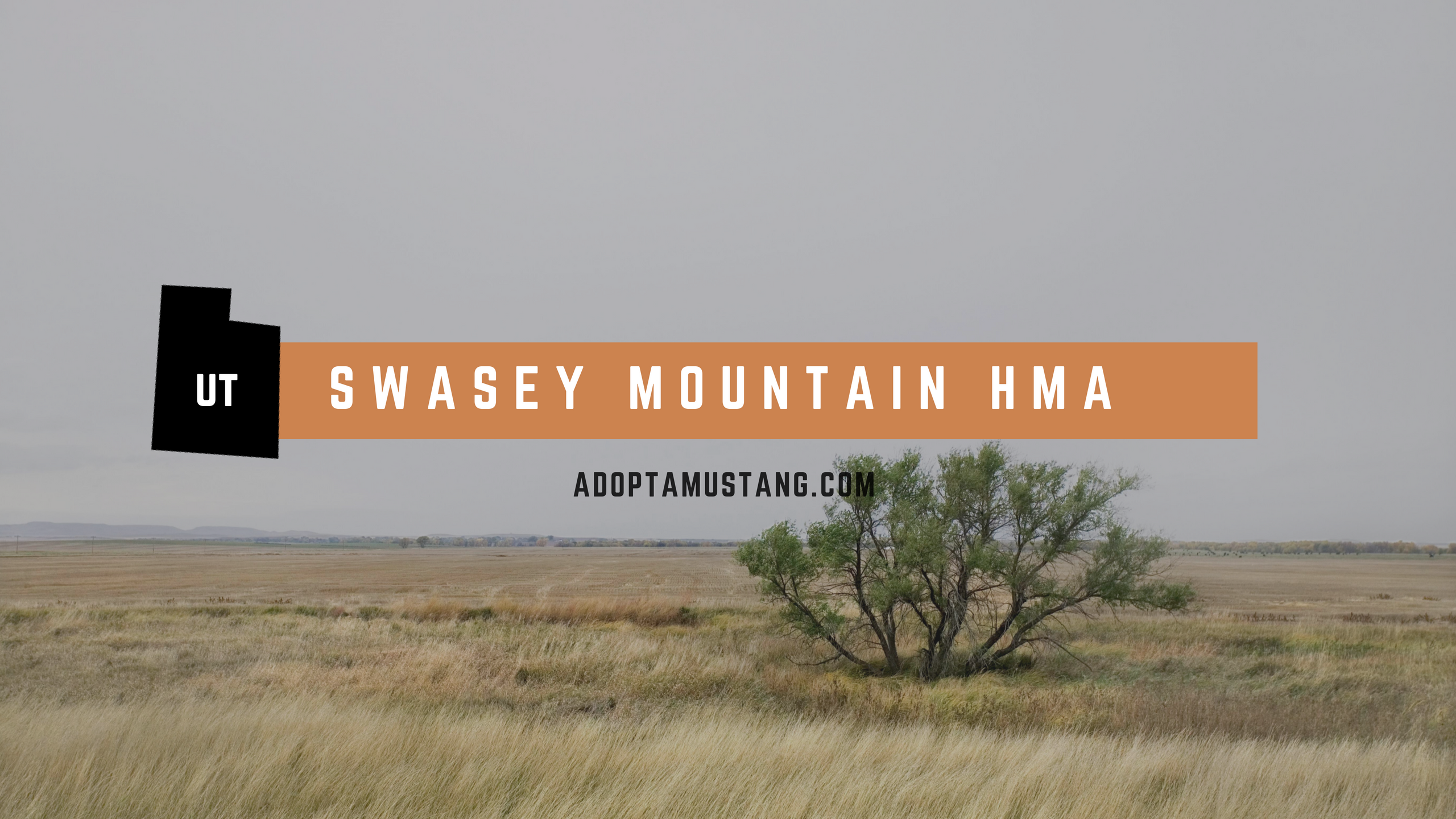 Swasey Mountain HMA