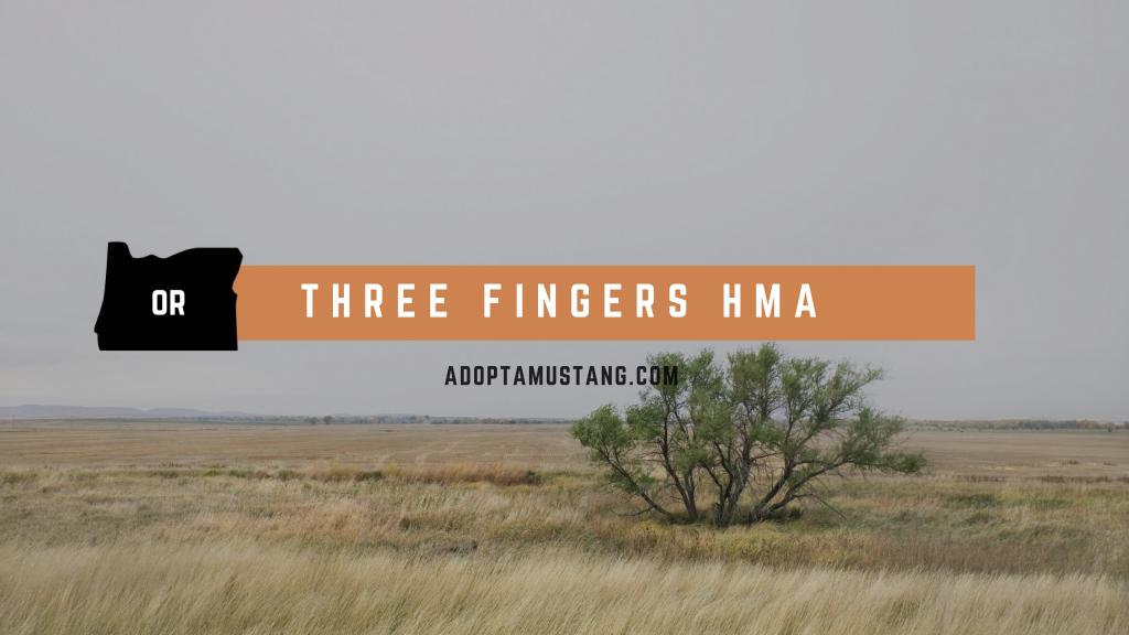 Three Fingers Oregon HMA