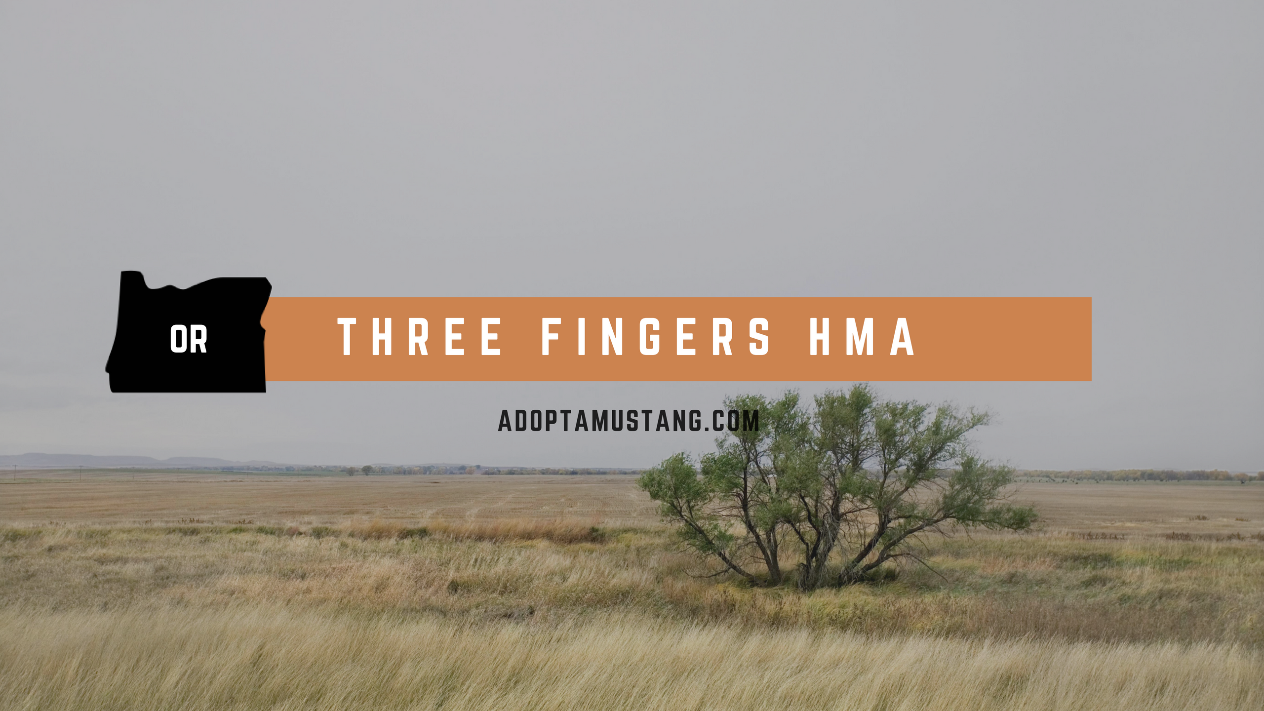 Three Fingers Oregon HMA