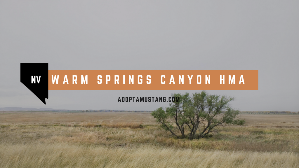 Warm Springs Canyon HMA