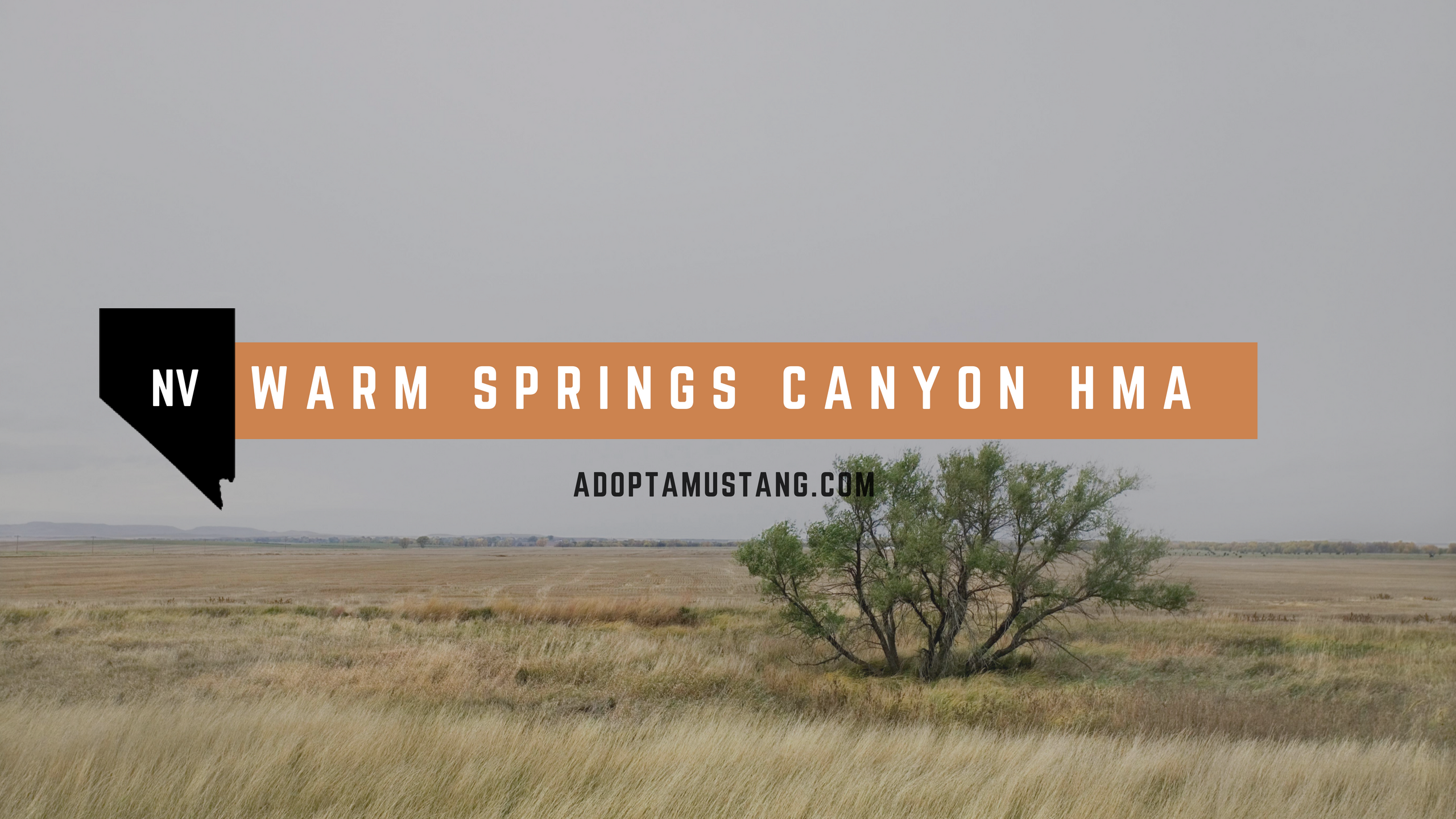 Warm Springs Canyon HMA
