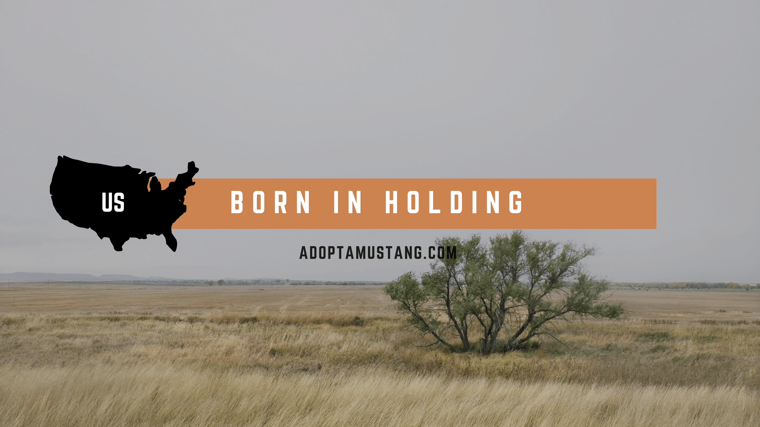 Born in Holding