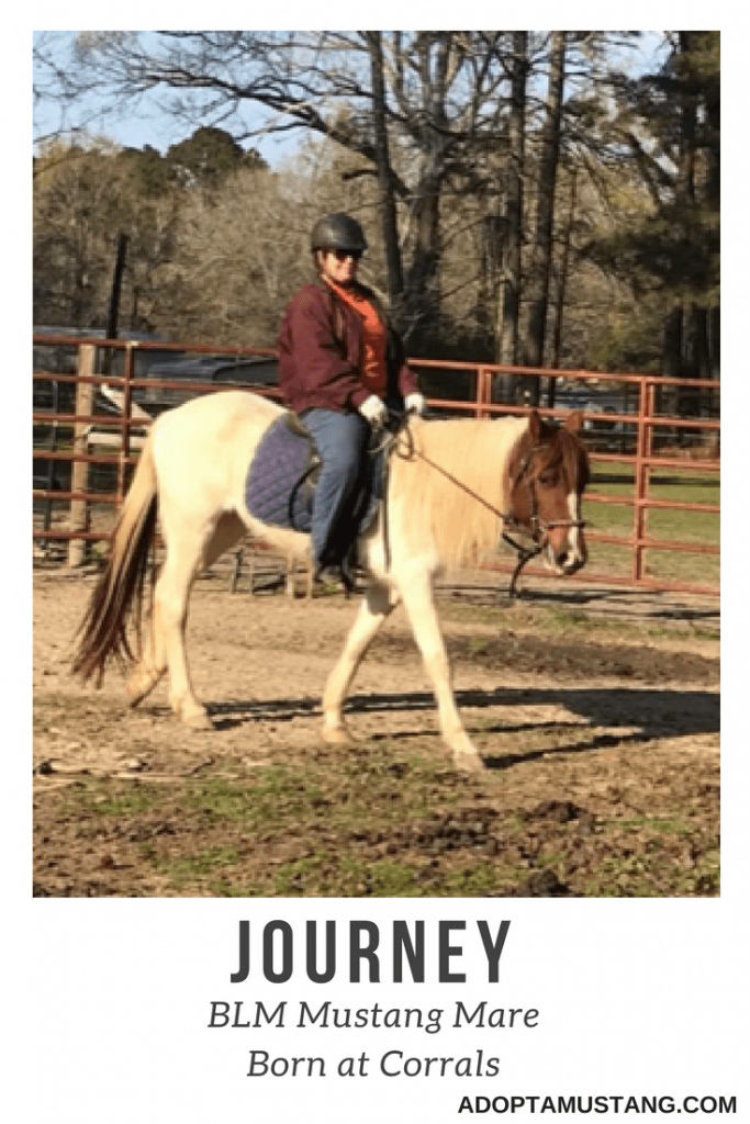 Journey - Born In Facility